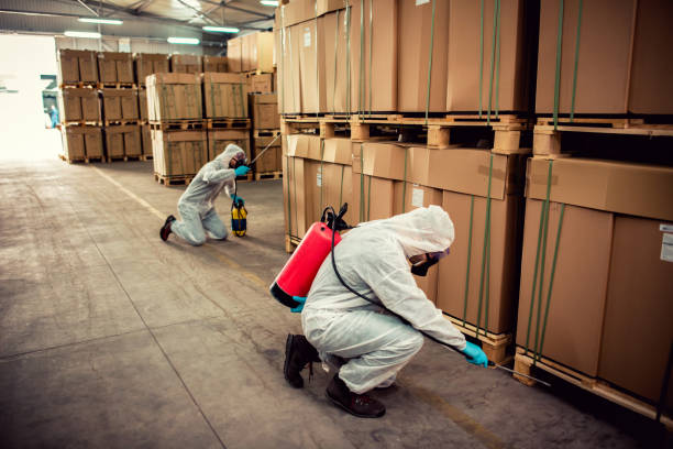 Pest Control for Restaurants in Lake Mathews, CA