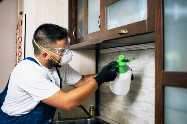 Reliable Lake Mathews, CA Pest Control Solutions