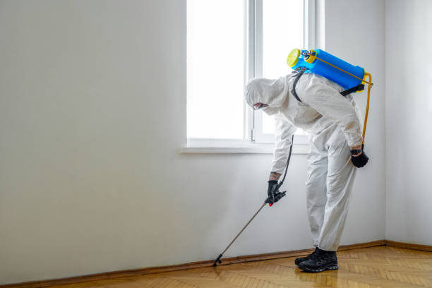 Best Mosquito Control Services  in Lake Mathews, CA