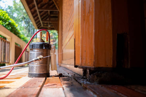 Best Pest Removal Services  in Lake Mathews, CA