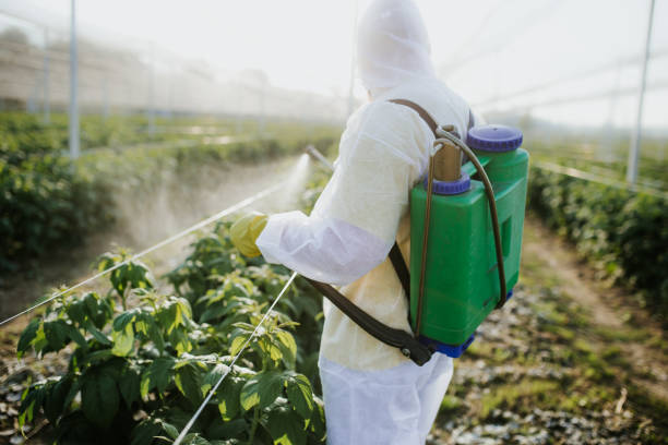 Best Affordable Pest Control Services  in Lake Mathews, CA